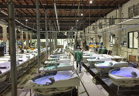 Foshan Nanhai Sannora Sanitary Ware Co., Ltd. 제조업체의 생산 라인